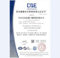 職業(yè)健康安全管理體系認證證書2025年-2028年中文版